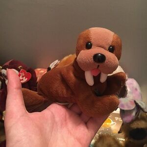 1998 Coca C O L A Walrus plush